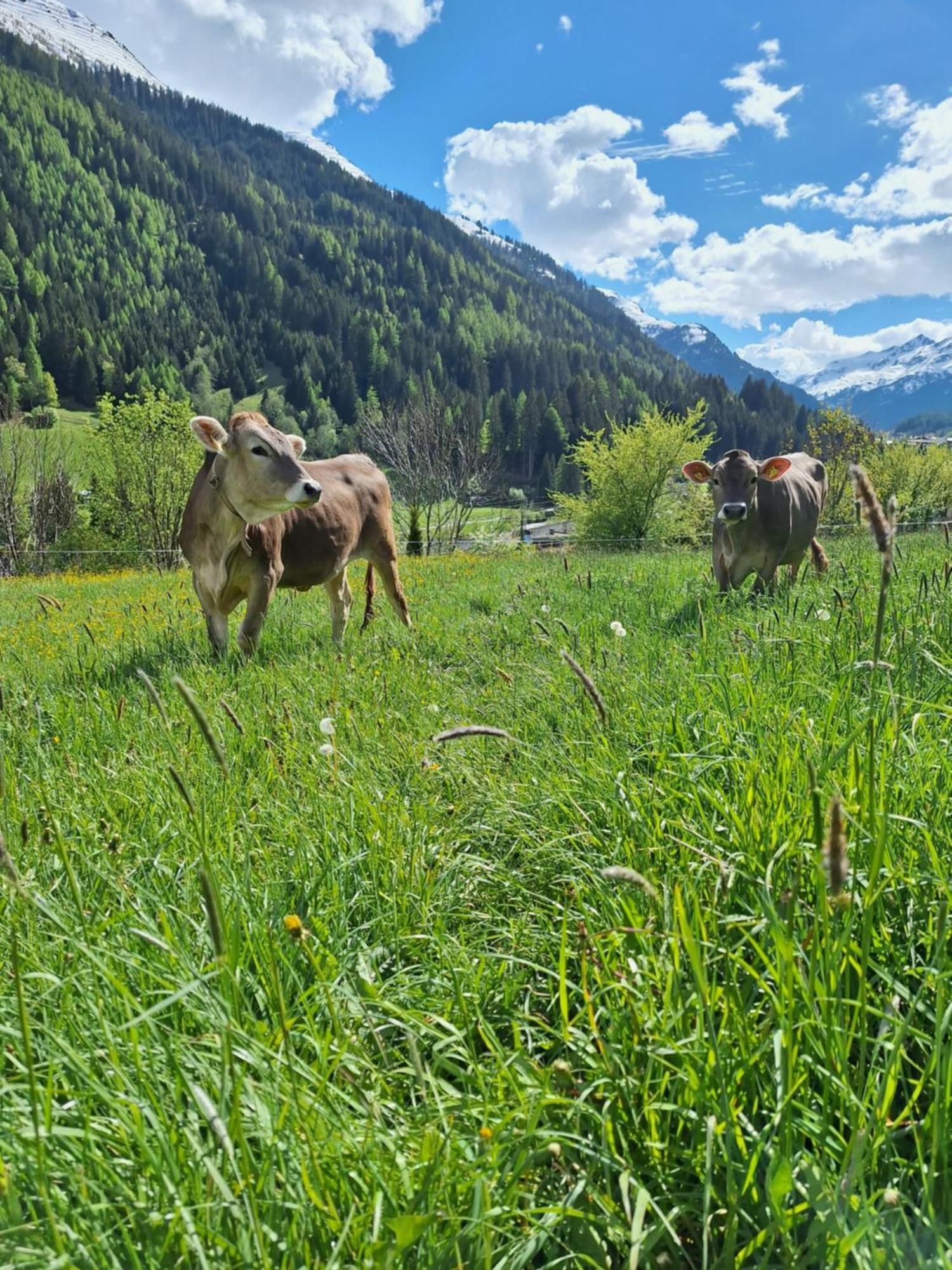 Appartamento Gsoerhof Sankt Anton am Arlberg Esterno foto